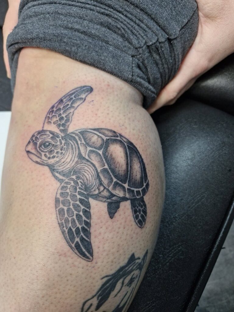 Tattoo von Rummel Art Verden – Black & Grey Schildkroete – Oberschenkel