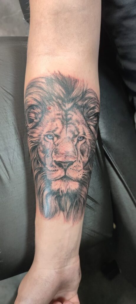 Tattoo von Rummel Art Verden – Realistic Loewe – Unterarm