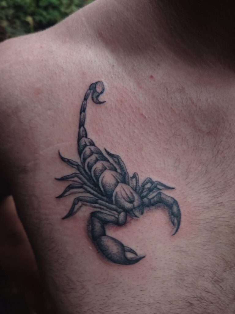 Tattoo von Rummel Art Verden – Black & Grey Skorpion – Brust